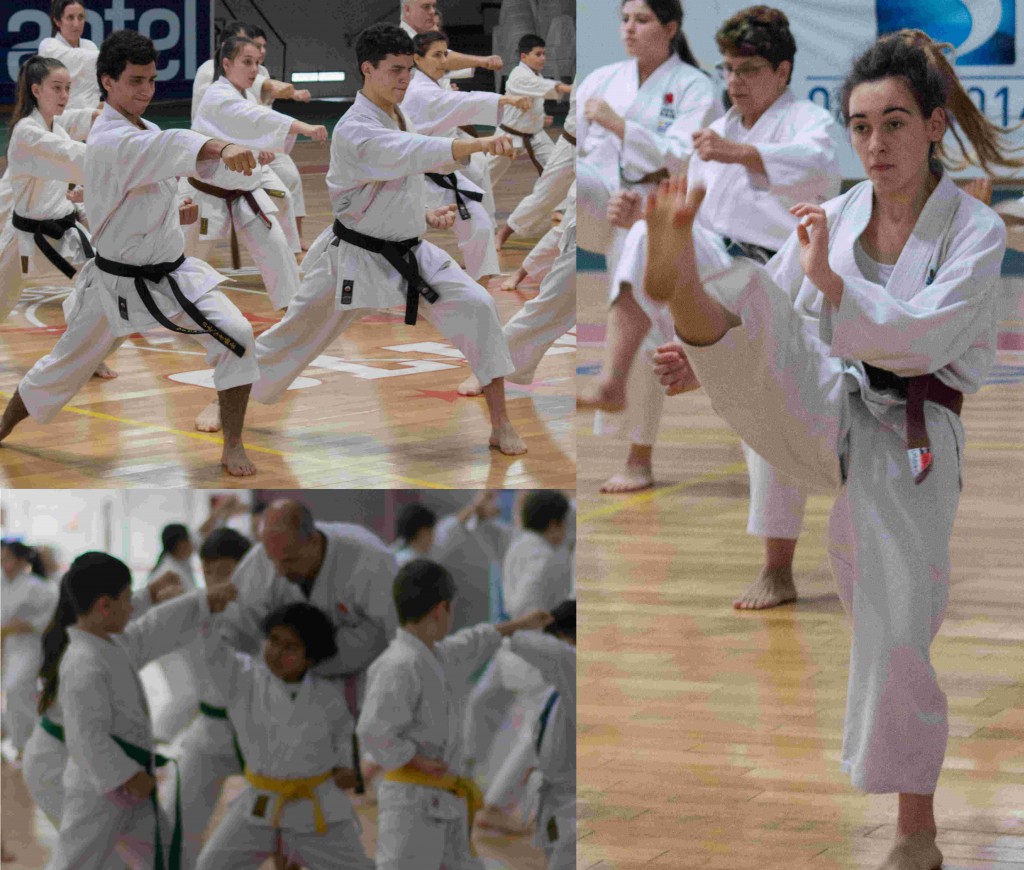 Practica Practica